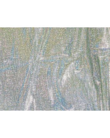 Bodre  - Holo Foil Photo Print - Silver