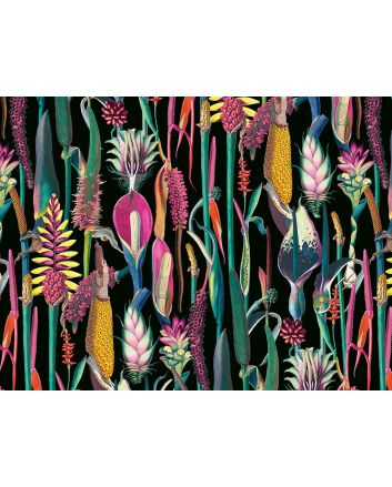 Botanical Wonders Printed Velvet, Black