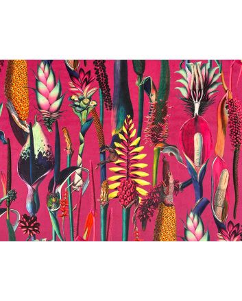 Botanical Wonders Printed Velvet, Hot Pink