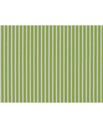 Candy Stripe Cotton Poplin, Lime