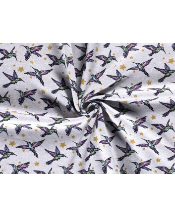 Cotton Rich Brushed Sweatshirt, Hummingbird Star