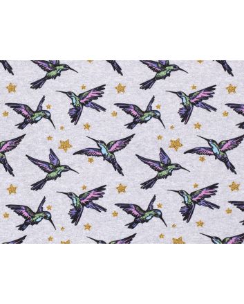Cotton Rich Brushed Sweatshirt, Hummingbird Star