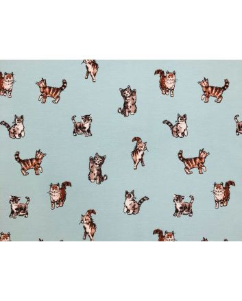 Cotton Rich Panama Canvas, Shabby Cats, Duck Egg