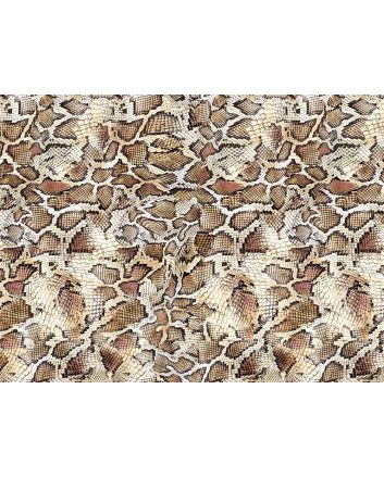 Craft Collection Cotton Print, Animal Magic Snake