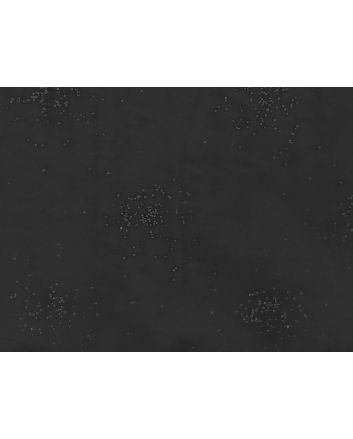 Crystal Starburst Organza, Black