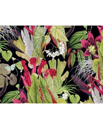 Exotic Flora Printed Velvet, Black
