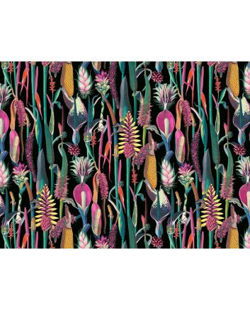 Exotic Jungle Cotton Print, Botanicals, Black