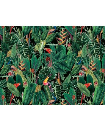 Exotic Jungle Cotton Print, Rain Forest Birds, Black