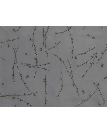 Floral Vines Organdy, Silver