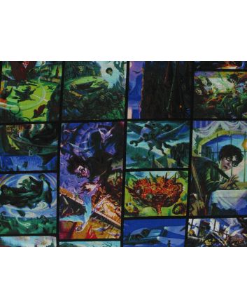 Harry Potter Scene Frames Cotton Print