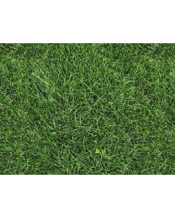 Photographic Grass Cotton Print