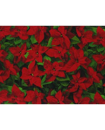 Poinsettia Cotton Print