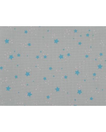 Star Printed Canvas, Sky