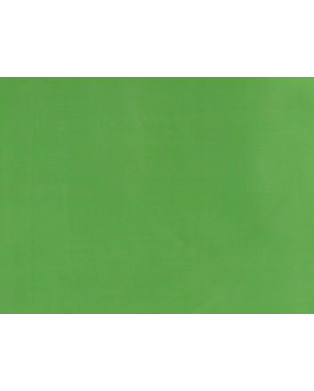 Stiff Silk Organza, Apple Green