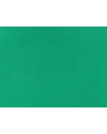 Stiff Silk Organza, Light Green