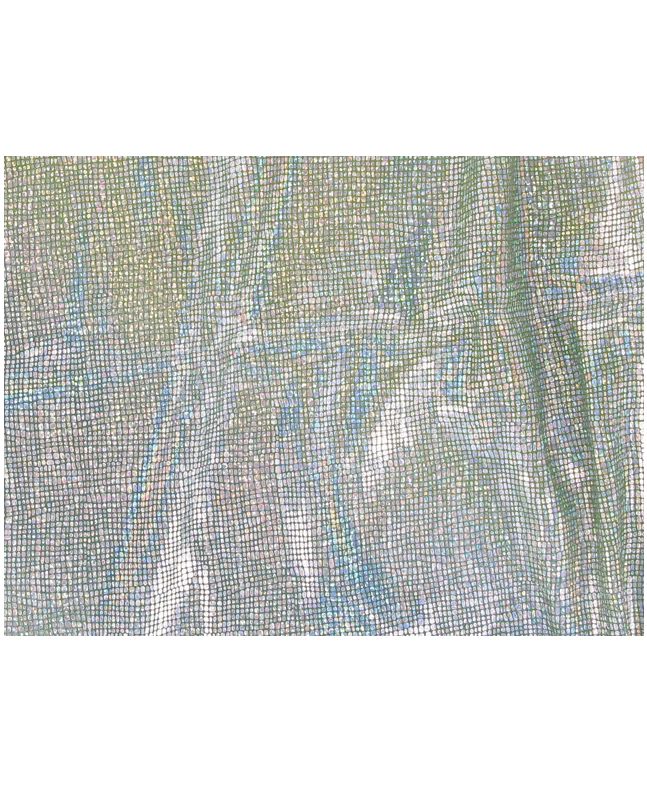 Bodre  - Holo Foil Photo Print - Silver