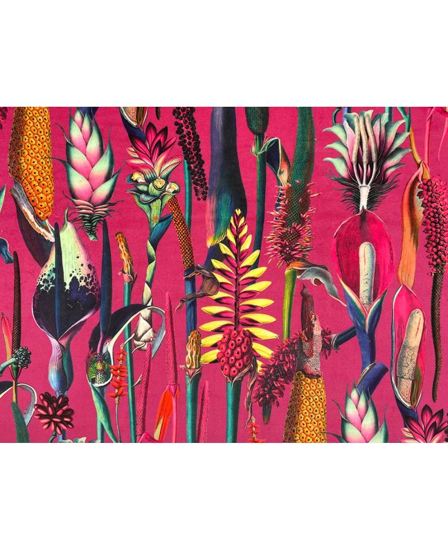 Botanical Wonders Printed Velvet, Hot Pink