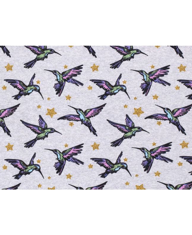 Cotton Rich Brushed Sweatshirt, Hummingbird Star