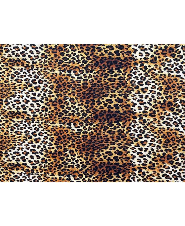 Craft Collection Cotton Print, Animal Magic Wild Cub