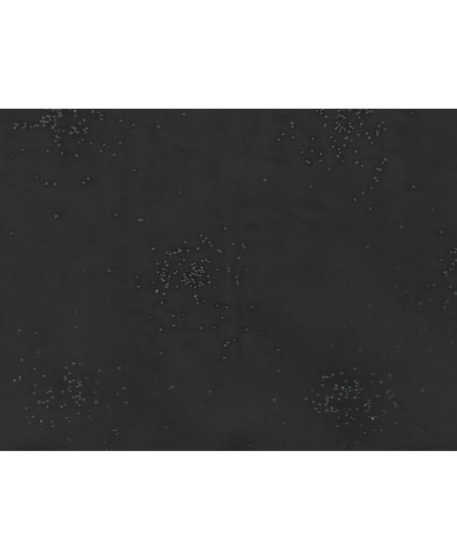 Crystal Starburst Organza, Black