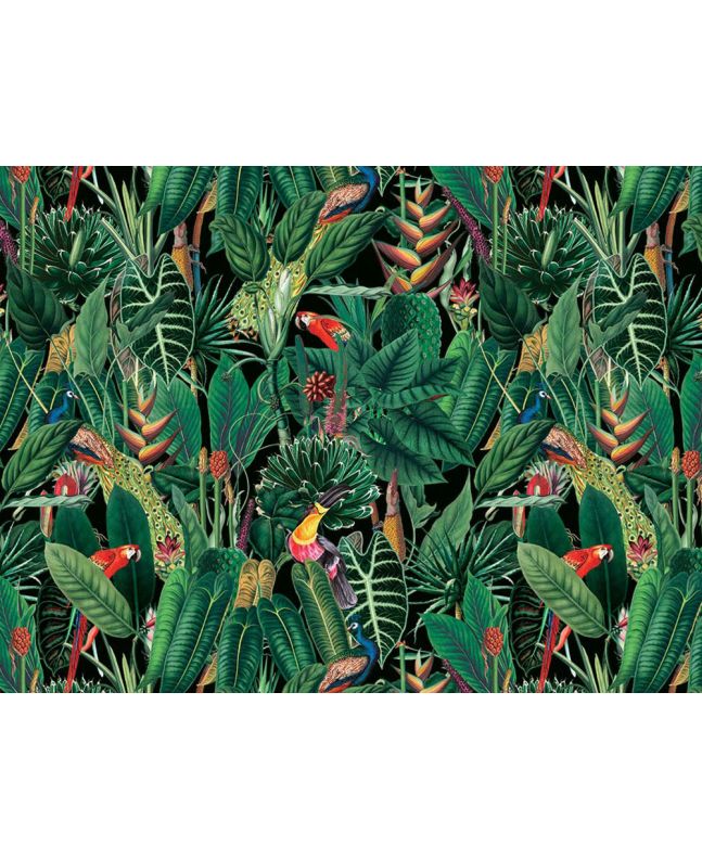 Exotic Jungle Cotton Print, Rain Forest Birds, Black