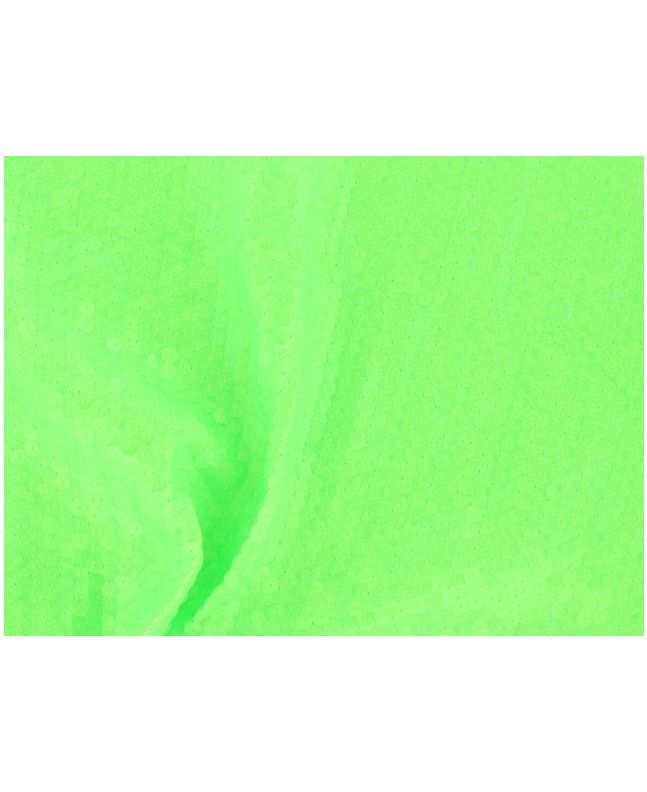 Fishscale Sequin - Lime