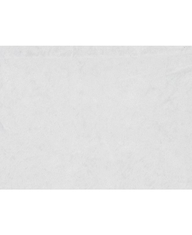 Heavy Crushed Velvet, White