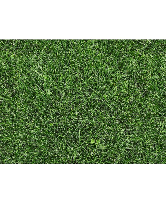 Photographic Grass Cotton Print