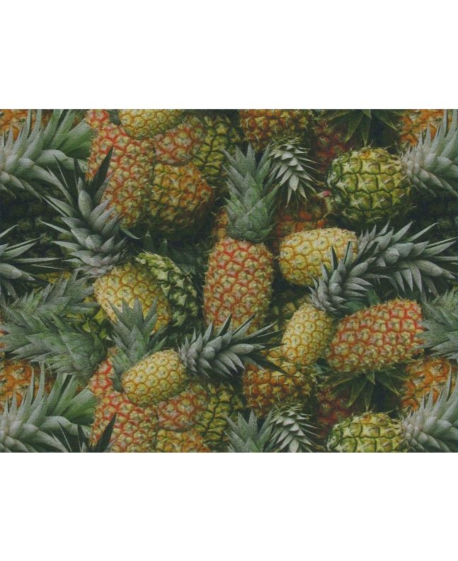 Pineapples Digital Cotton Print