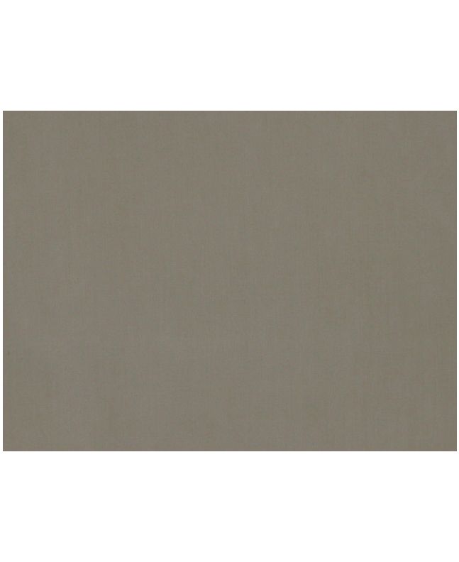 Plain Cotton - Stone