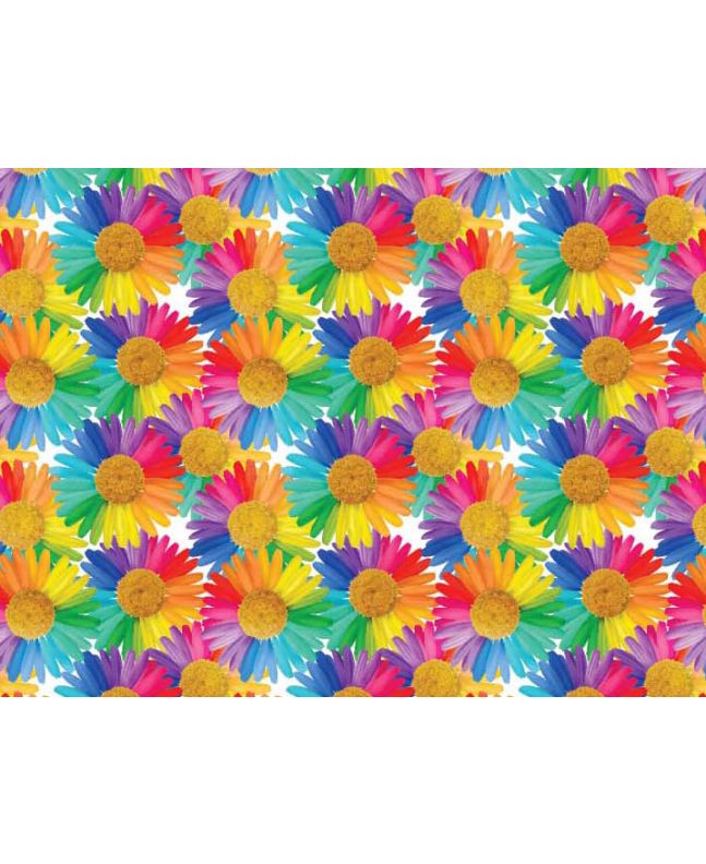 Rainbow Daisies Cotton Print