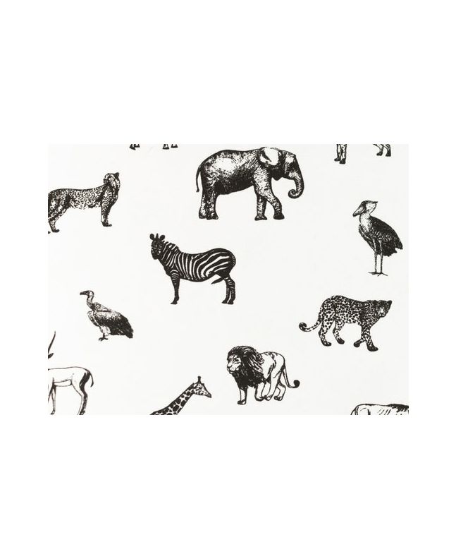 Safari Sketch Cotton Jersey, White