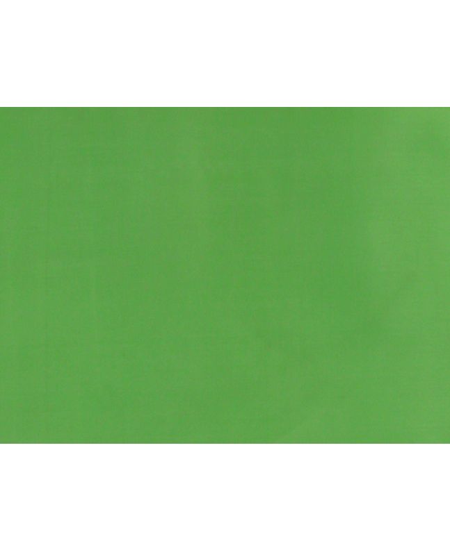 Stiff Silk Organza, Apple Green