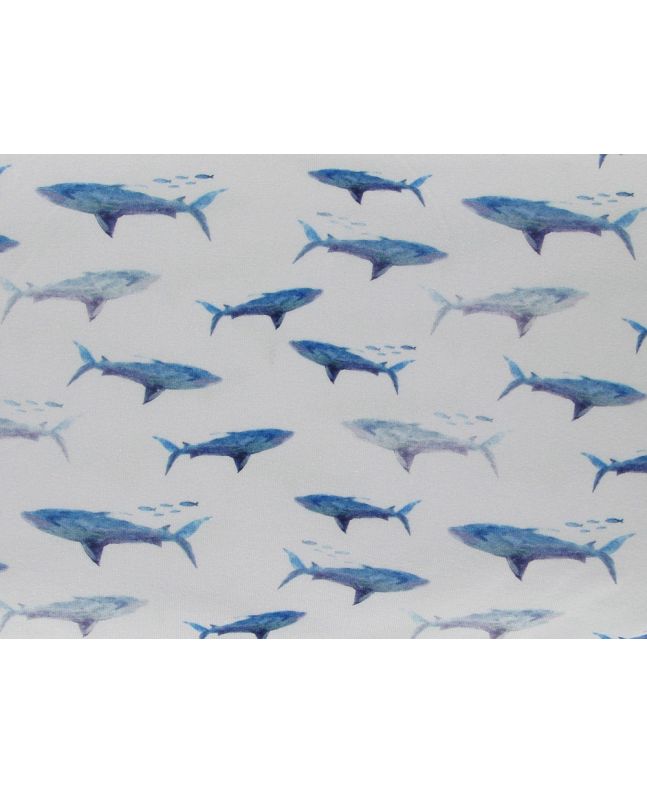 Watercolour Sharks Cotton Jersey